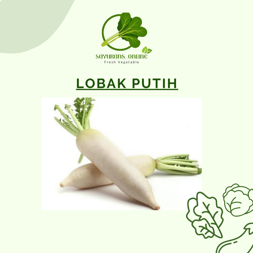 

lobak putih 500gr