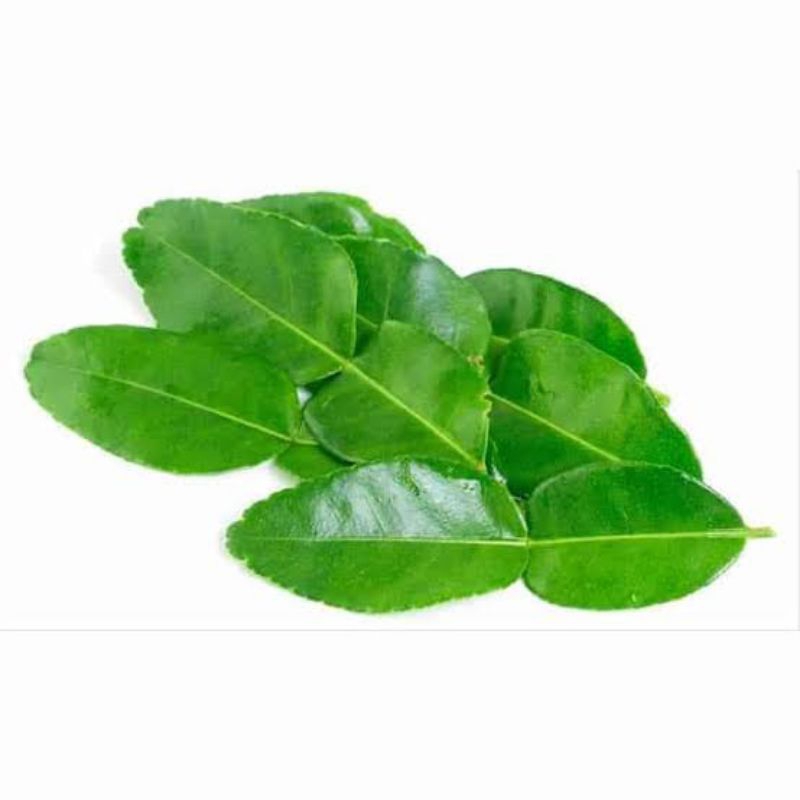 

Daun jeruk