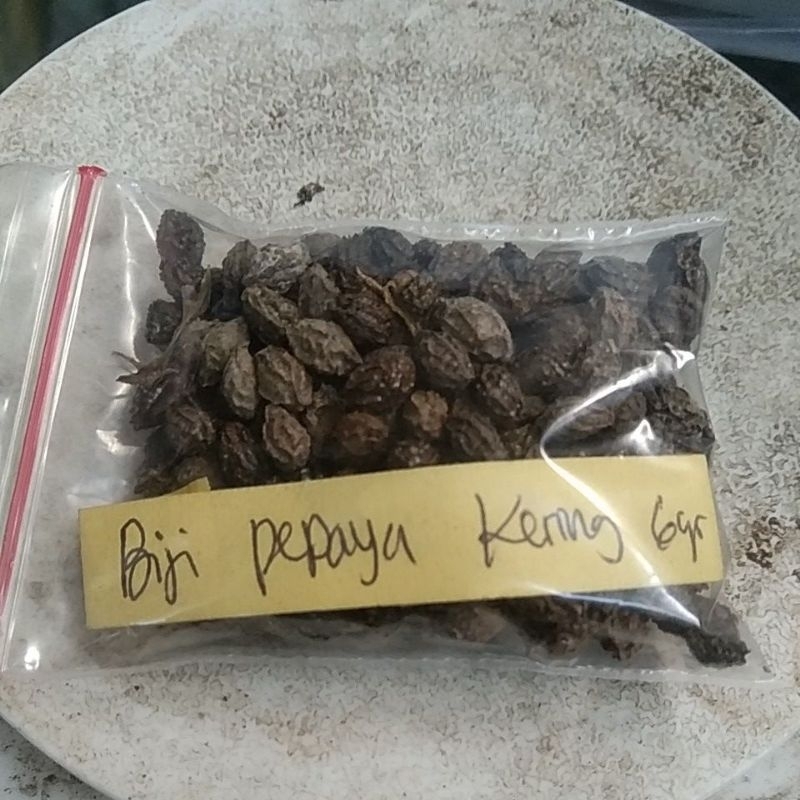 

Biji pepaya Kering