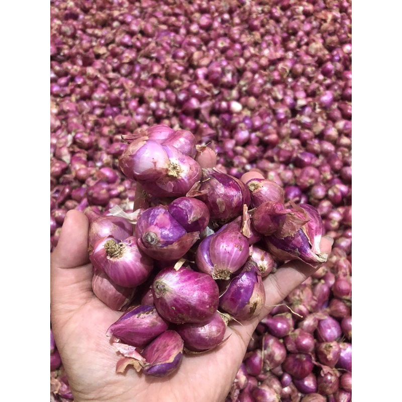 

Bawang Merah 1kg