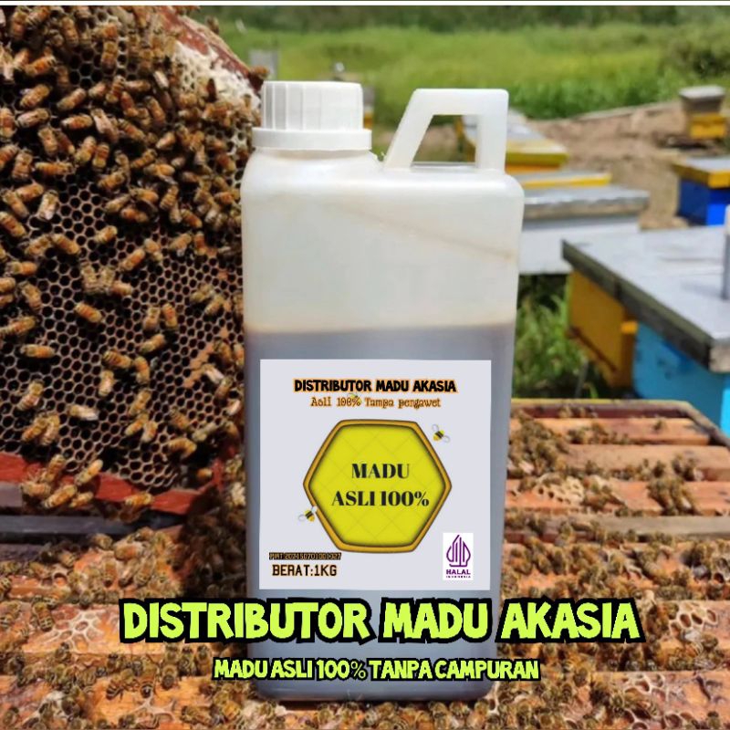 

Distributor Madu Asli 100% Tanpa Campuran Madu Asli 100% - Madu Murni Nektar Randu 1 KG - Pure Raw Honey