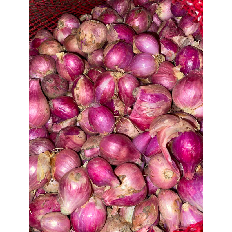

Bawang Merah Bojonegoro