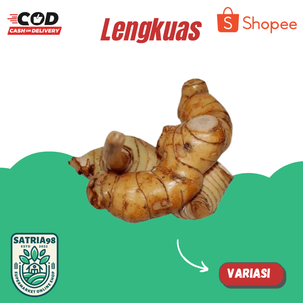 

Lengkuas langsung dari petani murah (COD)