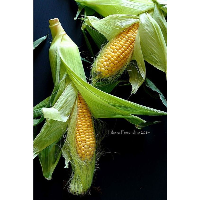 

JAGUNG MANIS SEGAR ALAMI BERAT 850 GRAM - 1KG