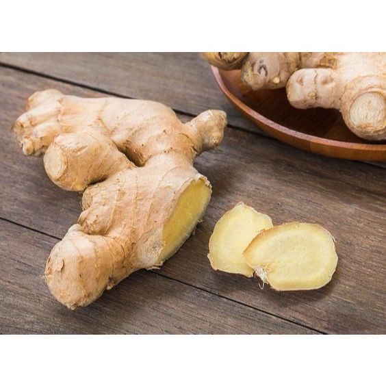 

JAHE GAJAH - JAHE PUTIH - WHITE GINGER - SEGAR ALAMI 1KG