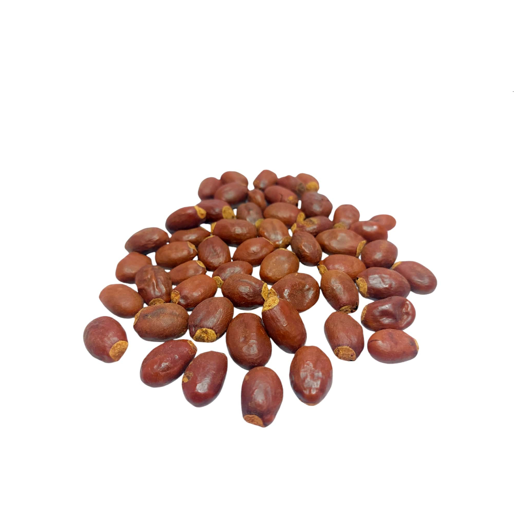 

RB Li Zhi He Ke Semen Litchi Lychee Seed Seeds Biji Leci