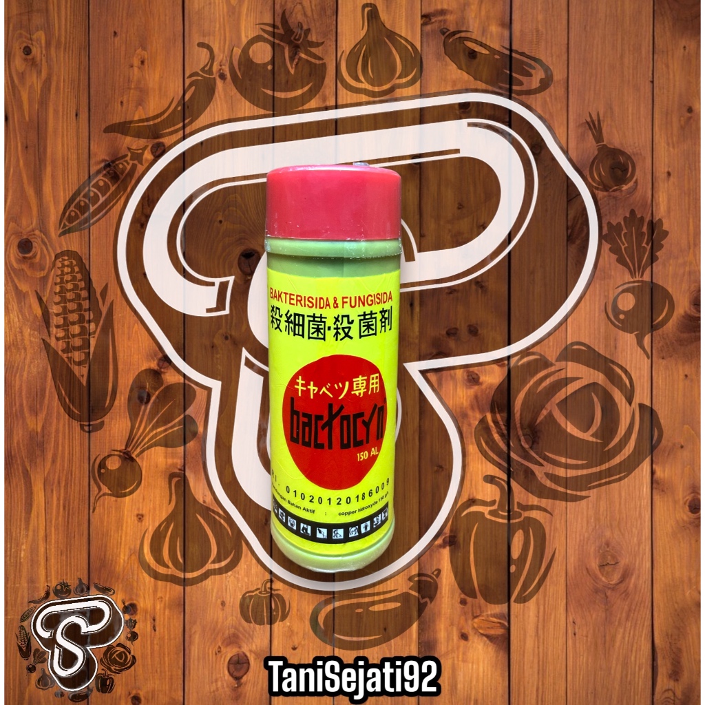 BAKTERISIDA + FUNGISIDA BACTOCYN 200ML