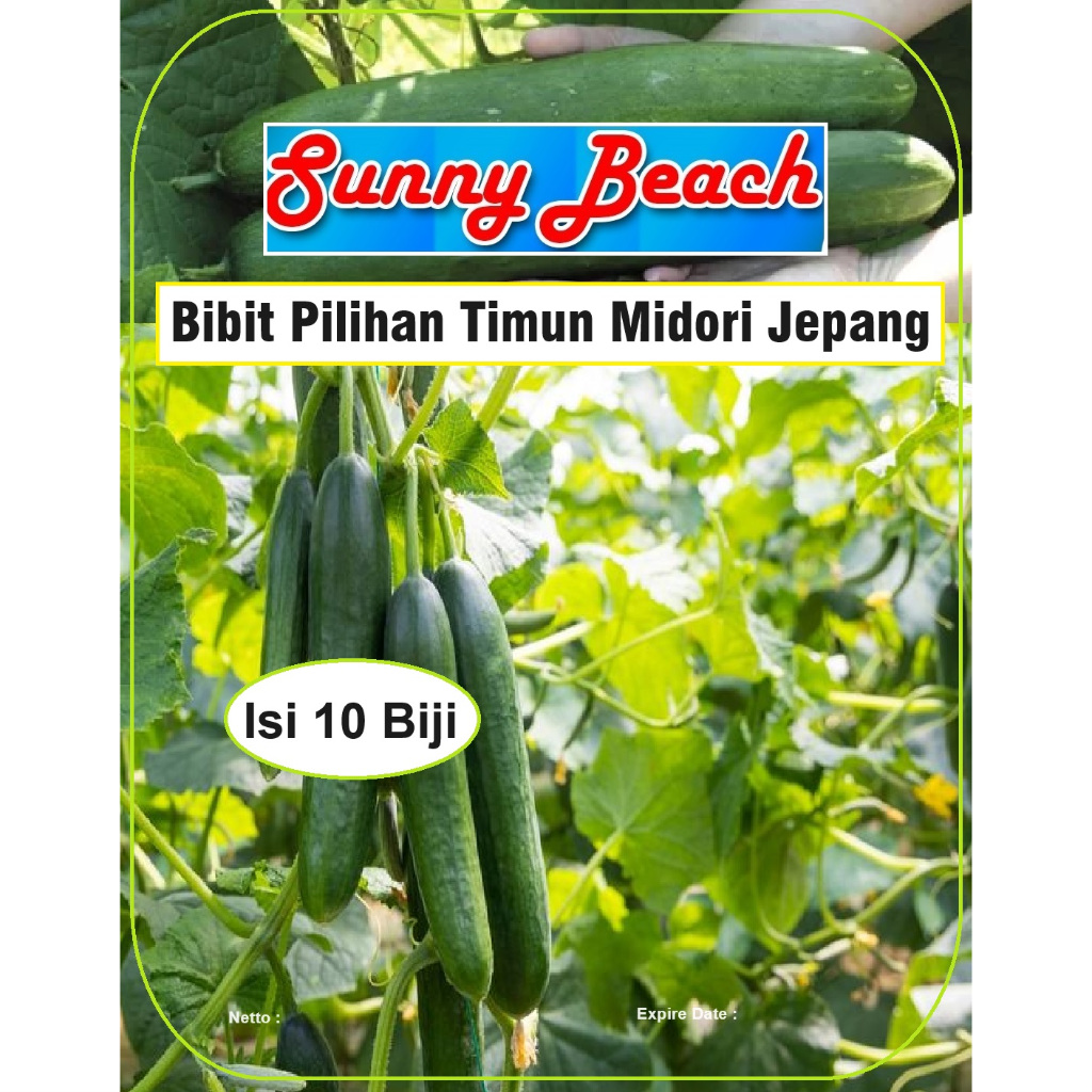 Bibit Pilihan Timun Midori Jepang | Biji Benih Ketimun Midori Jepang | Mentimun Jepang