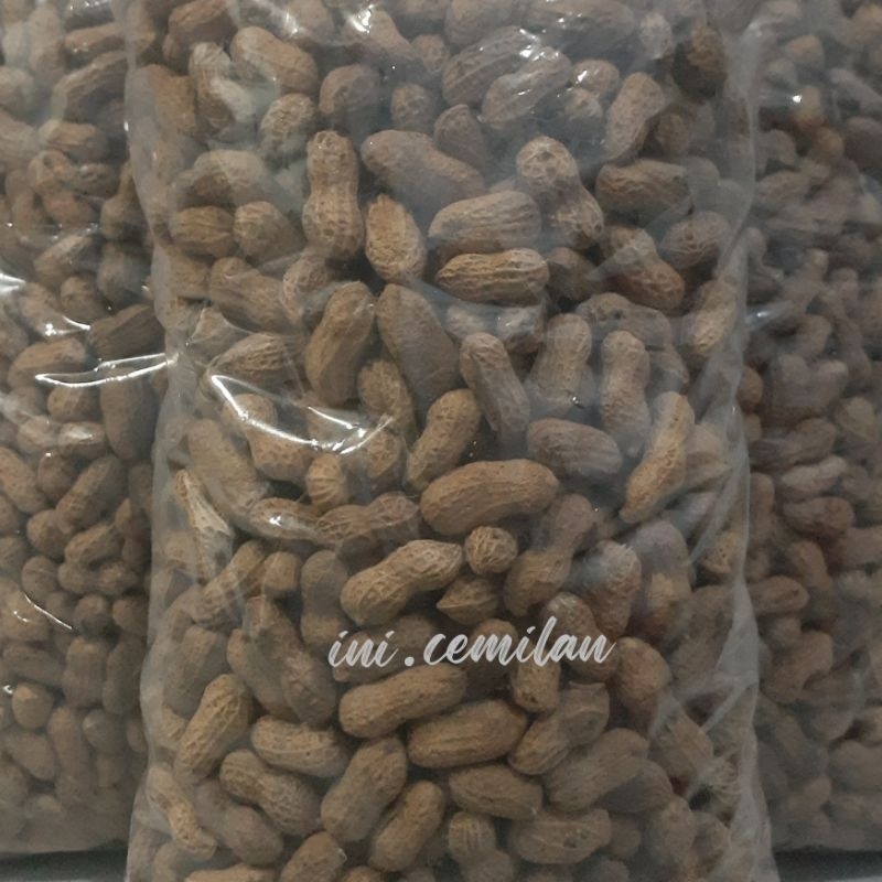 

murah meriah 1 kg kacang kulit sangrai ASLI MADURA / kualitas super / Halal, gurih, renyah dan manis