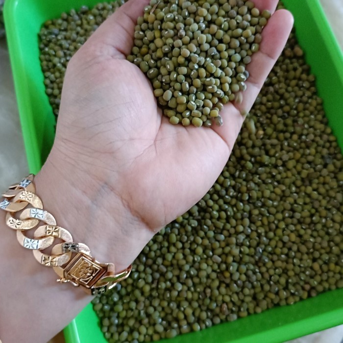 

Biji Kacang Hijau 1 kg Ijo Baru Panen Organik Super Food Multivitamin/KACANG IJO BERSIH