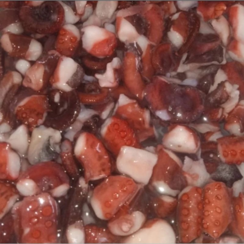 

Cooked Octopus Boiled Tako Gurita Cut 500gr