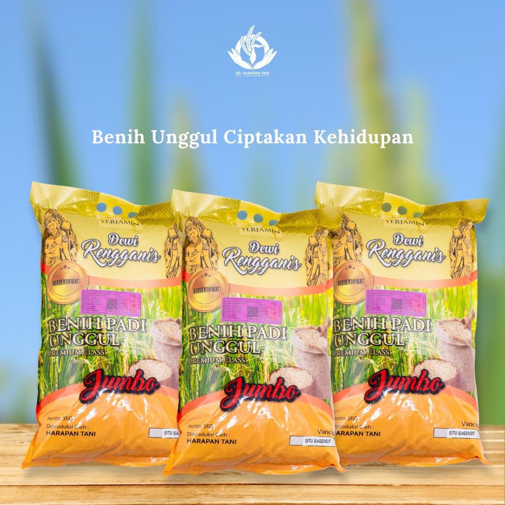 Benih padi unggul bermacam varietas, benih padi JUMBO, bibit JUMBO, kemasan JUMBO PREMIUM, varietas 