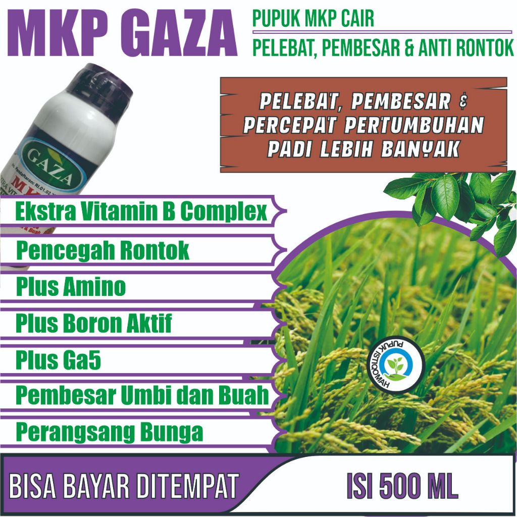 PUPUK PEMBESAR BUAH PADI Pupuk Pelebat Padi dan Booster Perangsang Padi di Sawah Supaya Cepat Berbua