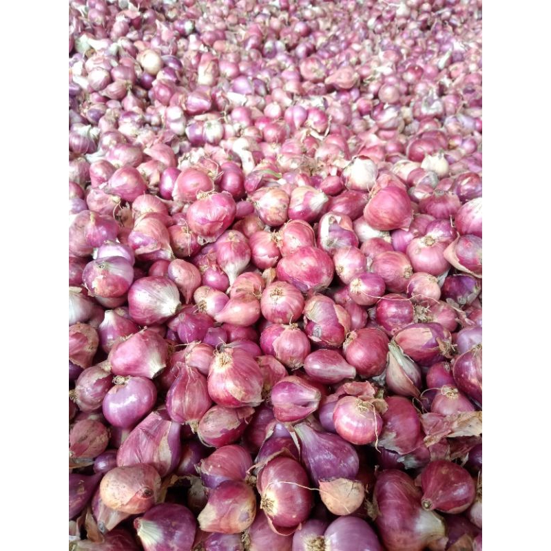 

Bawang Merah berkwalitas 1kg ASLI nganjuk