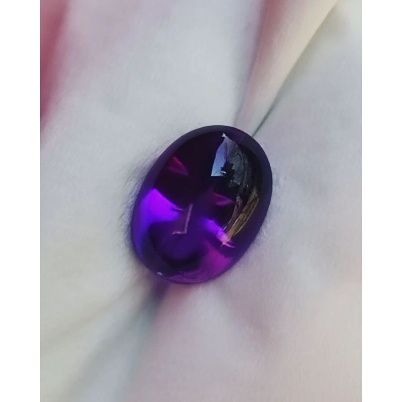 Kecubung Ungu Asli Kalimantan Kecubung Pangkalanbun