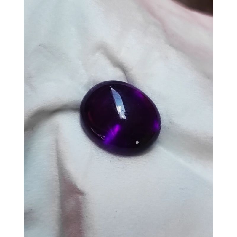 Kecubung Ungu Kribang Asli Kalimantan