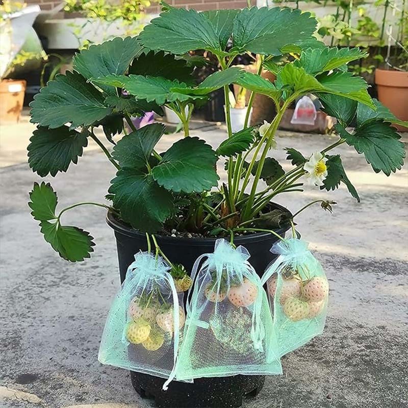 30*20cm Kantong Jaring Pembungkus Buah Jaring Buah Buahan Kantong Buah Jaring Pelindung Buah Dari Ha