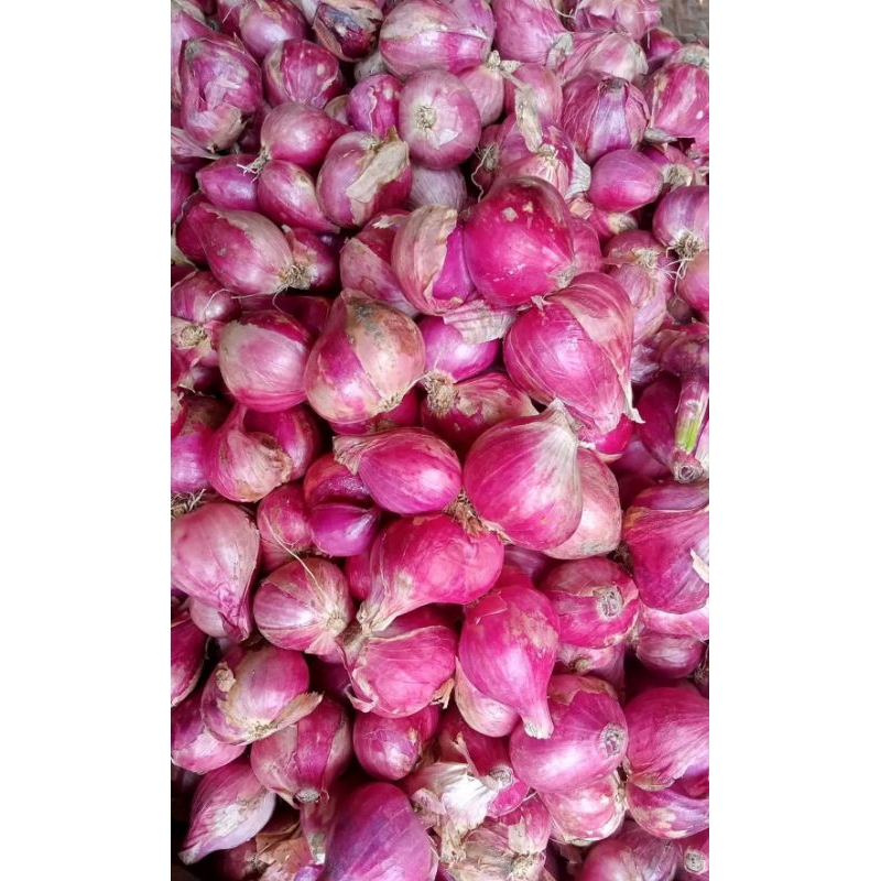 

bawang merah 1kg terbaik|bawang merah murah/asli nganjuk