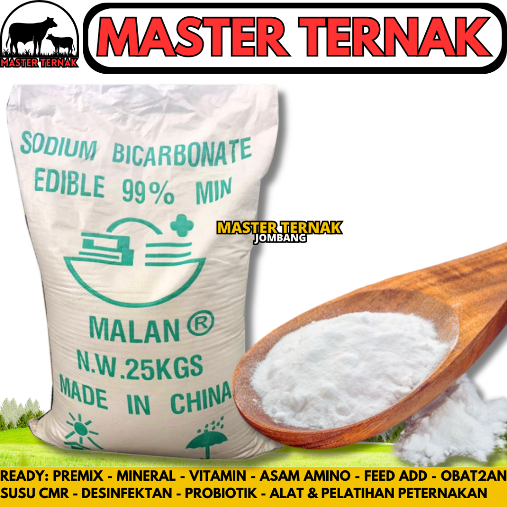 

SODA KUE 25KG - SODIUM BICARBONATE 25KG (1 SAK) - BAKING SODA - Baking Soda Food Grade