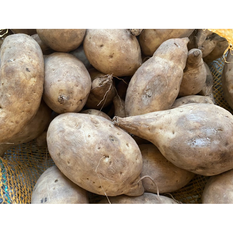 

KETELA KUNING MANIS KEMASAN 1KG