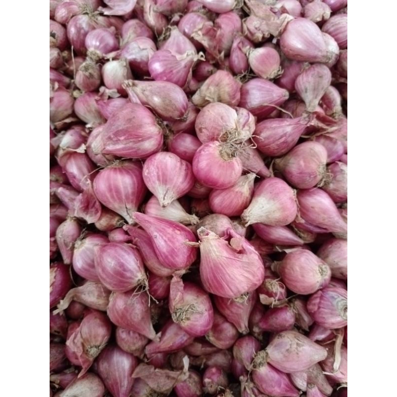 

Bawang merah murah