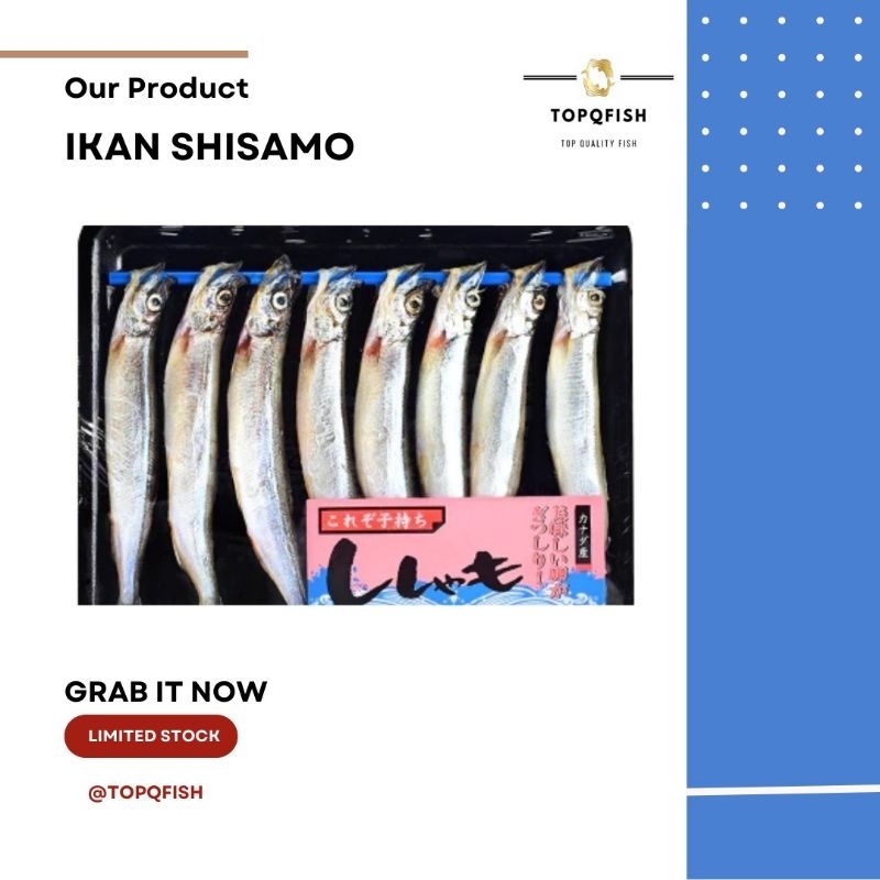 

IKAN SHISAMO CAPELIN TELUR