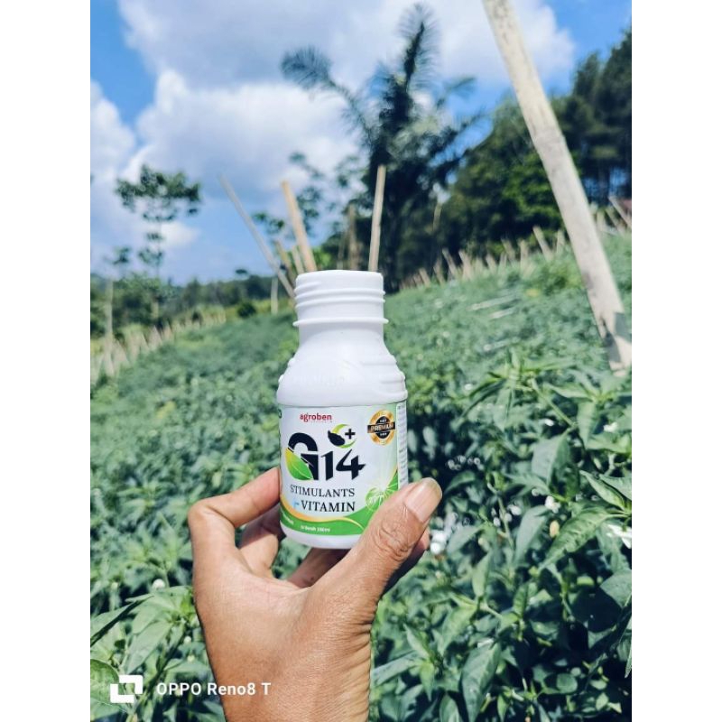 pupuk daun ZPT G14 penyegar pertumbuhan tanaman