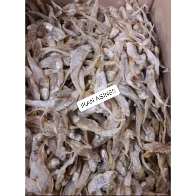 

Ikan asin bulu ayam 500 gram