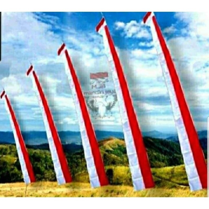 Umbul-Umbul merah putih,Umbul² polos,Umbul² gambar