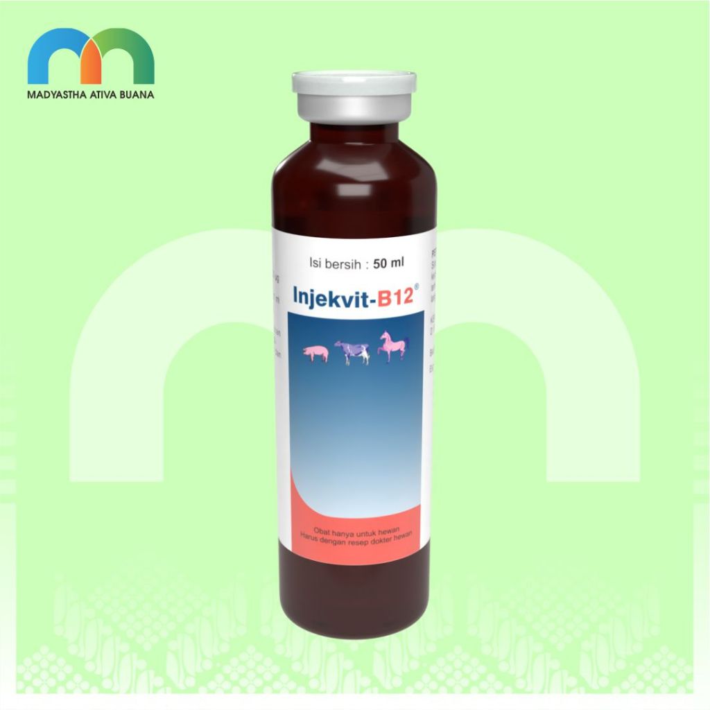 Inj Vit B12 Btl 50 Ml Medion Multivitamin Hewan Besar