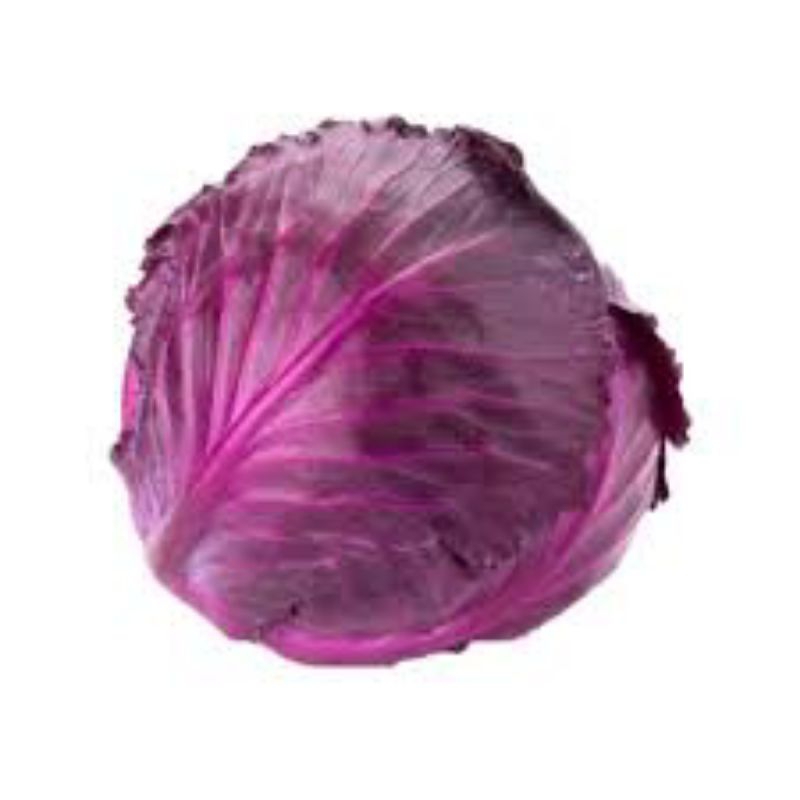 

Kol Ungu / Kubis Ungu 1 Pcs (+-500g)