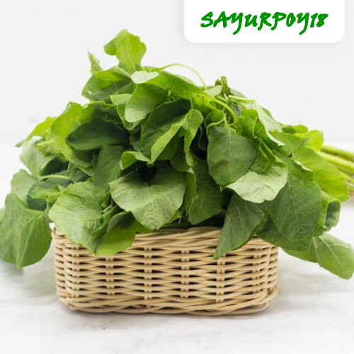 

Sayur Bayam Hijau Conventional 250 gram / sayurpoy18