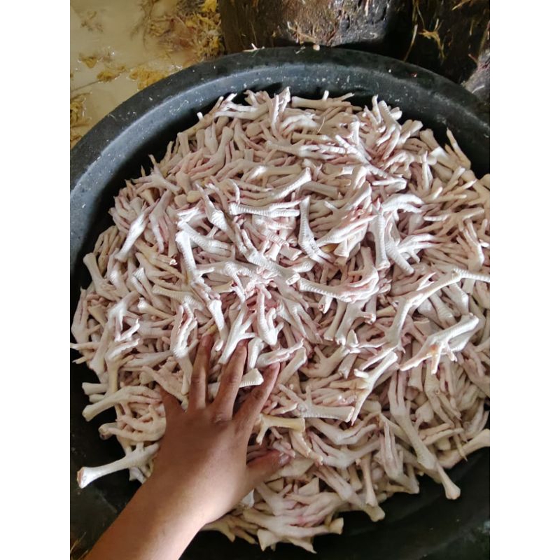 

ceker ayam pejantan