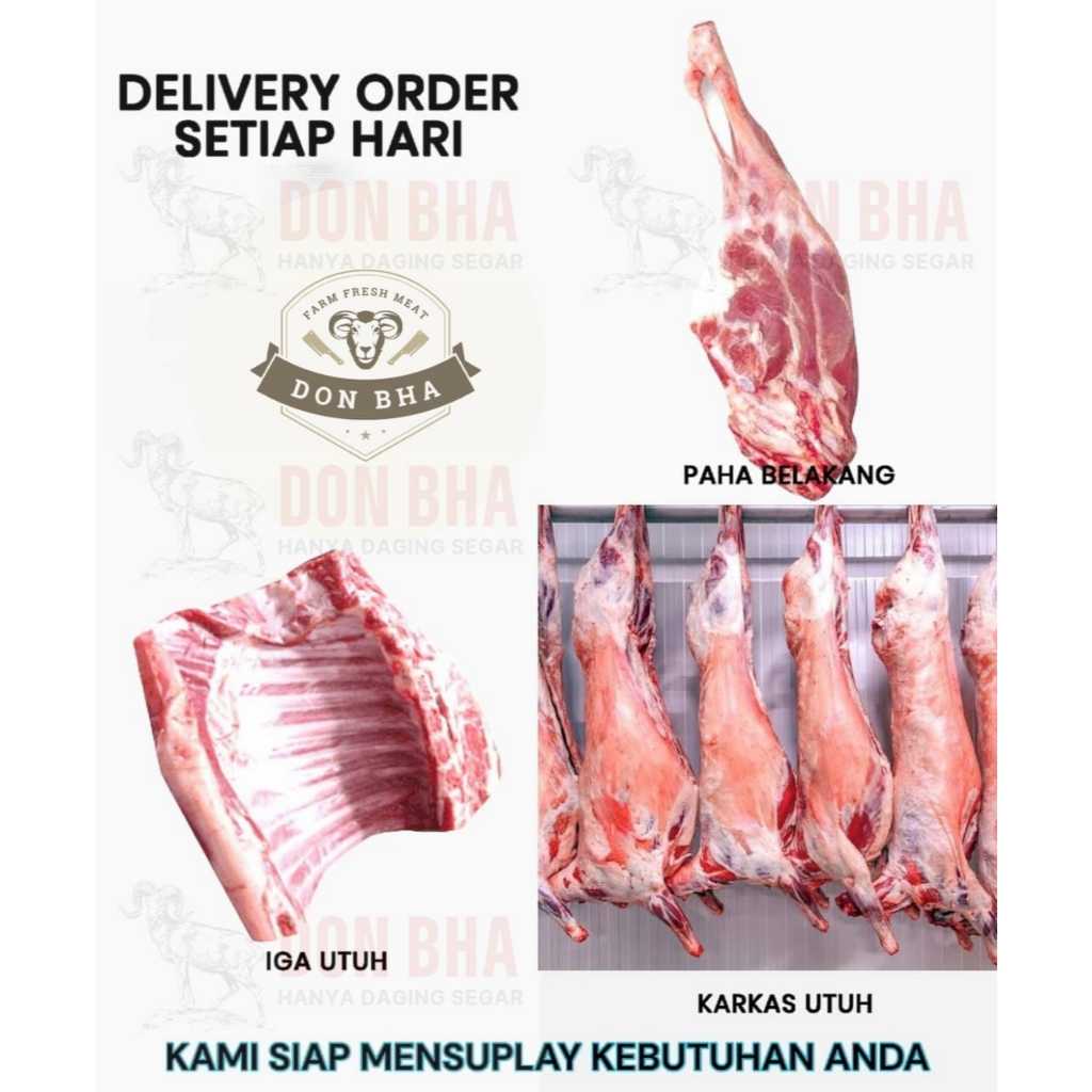 

Paha Belakang, Karkas Utuh, dan Iga Kambing Segar