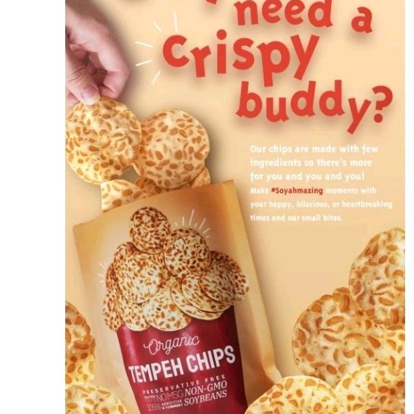 

Keripik Tempeh Organic