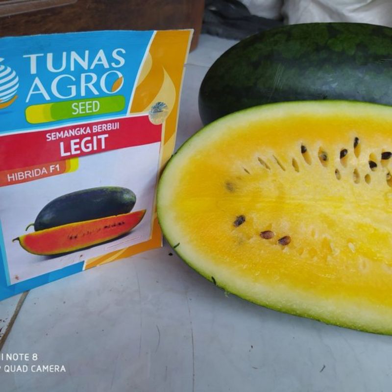 

SEMANGKA BERBIJI LEGIT 15 GR , Jenis semangka berbiji dengan bentuk buah lonjong dan kulit berwarna hijau gelap. Daging buah berwarna orange, tekstur buah renyah, rasa sangat manis.