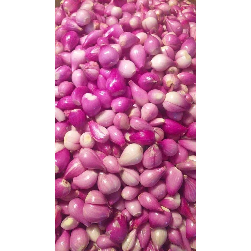 

Bawang Merah Kupas 500Gr