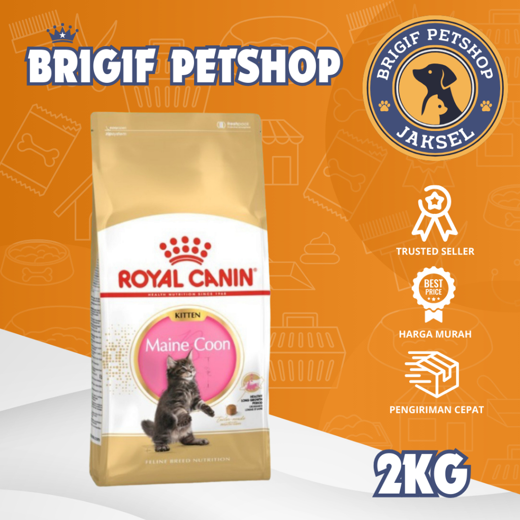 Royal Canin Maine Coon Kitten 2kg
