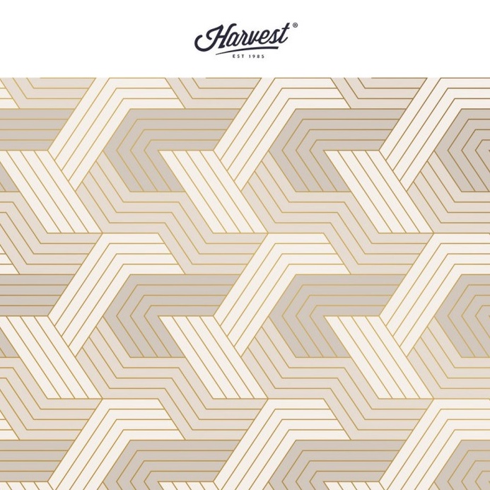 

KUALITAS TERJAMIN Kertas Kado Harvest Wrapping Paper Dreamland Grey