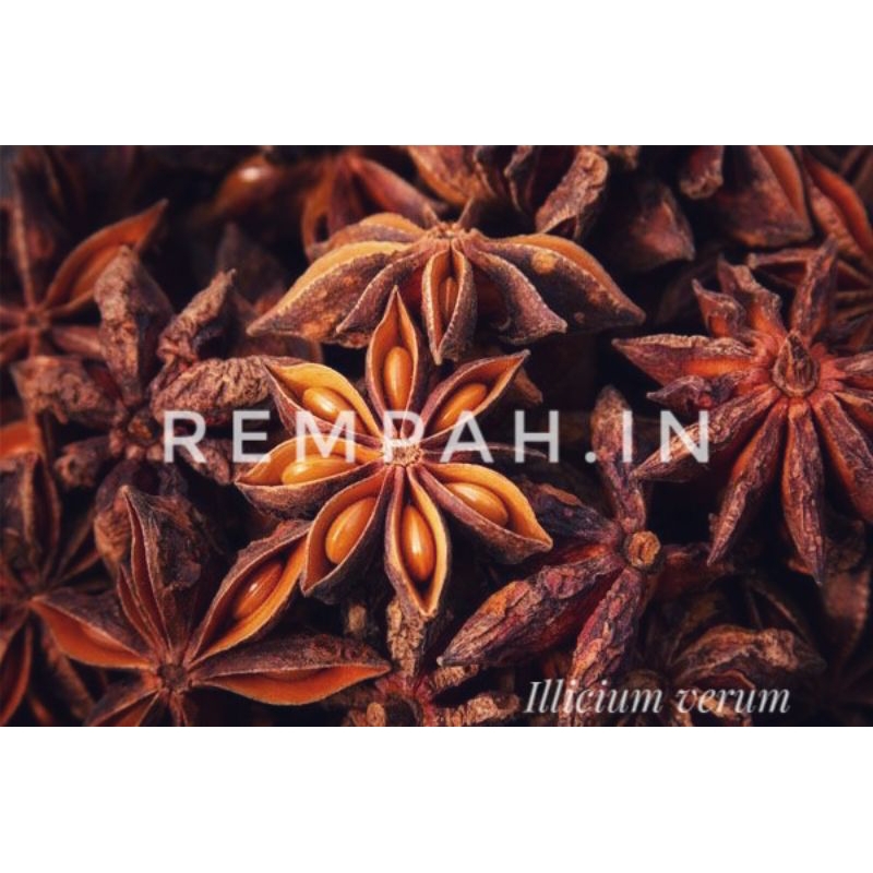 

Bunga Lawang/Illicium verum 100g Grade A
