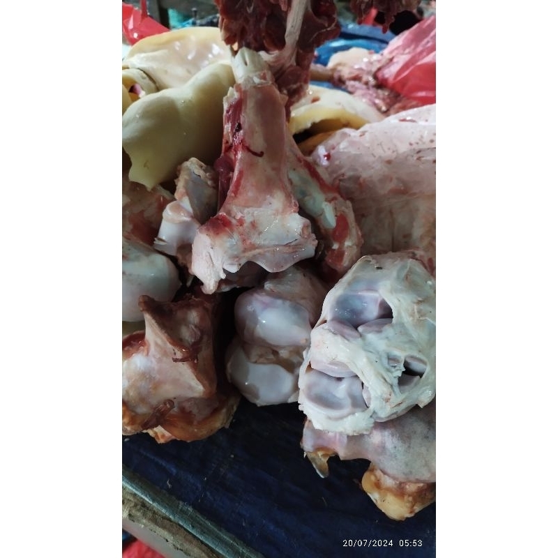 

Tulang Sapi Sengkel Sumsum Tulang Sapi untuk Kaldu