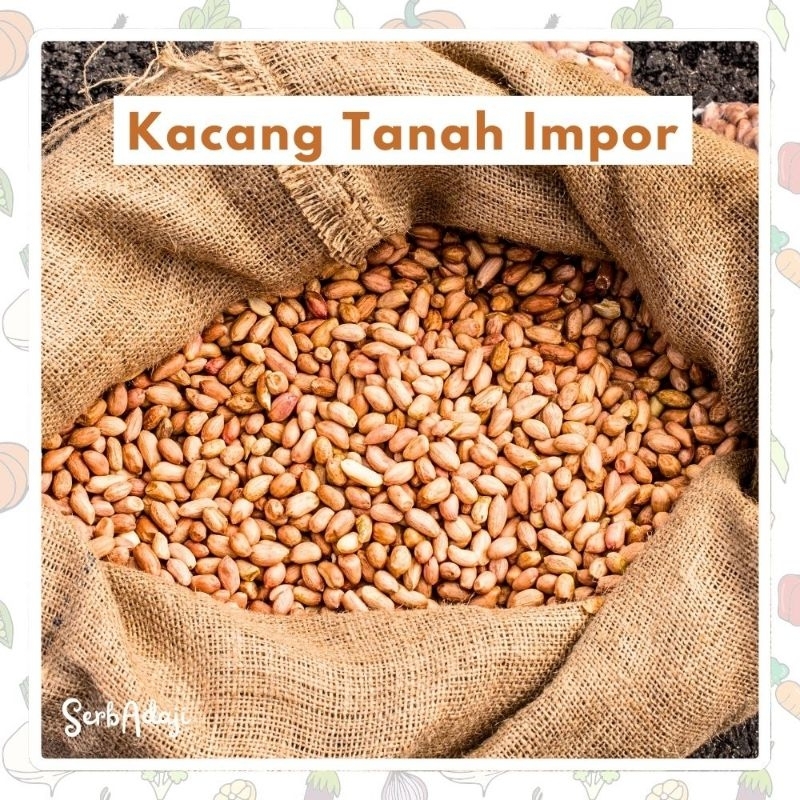 

Kacang Tanah Impor Terbaik Mentah Asli Alami Peanuts Termurah Makassar