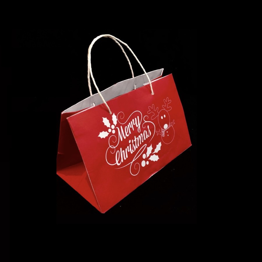 

(10 Pcs) Goodie Bag Toples 250 Gr Isi 4 g Paper Bag Box Bolu Gulung Tas Hampers Natal 24x13x15 Cm