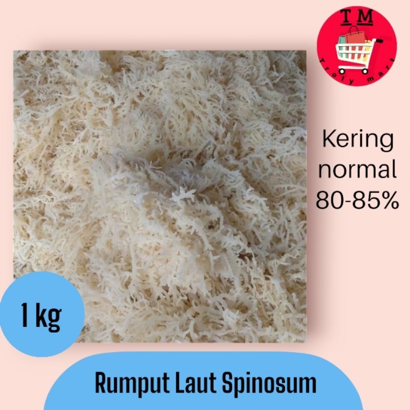 

RUMPUT LAUT SUPER PUTIH KERING NORMAL(80-85%) Spinosom 1kg (BACA DESKRIPSI)