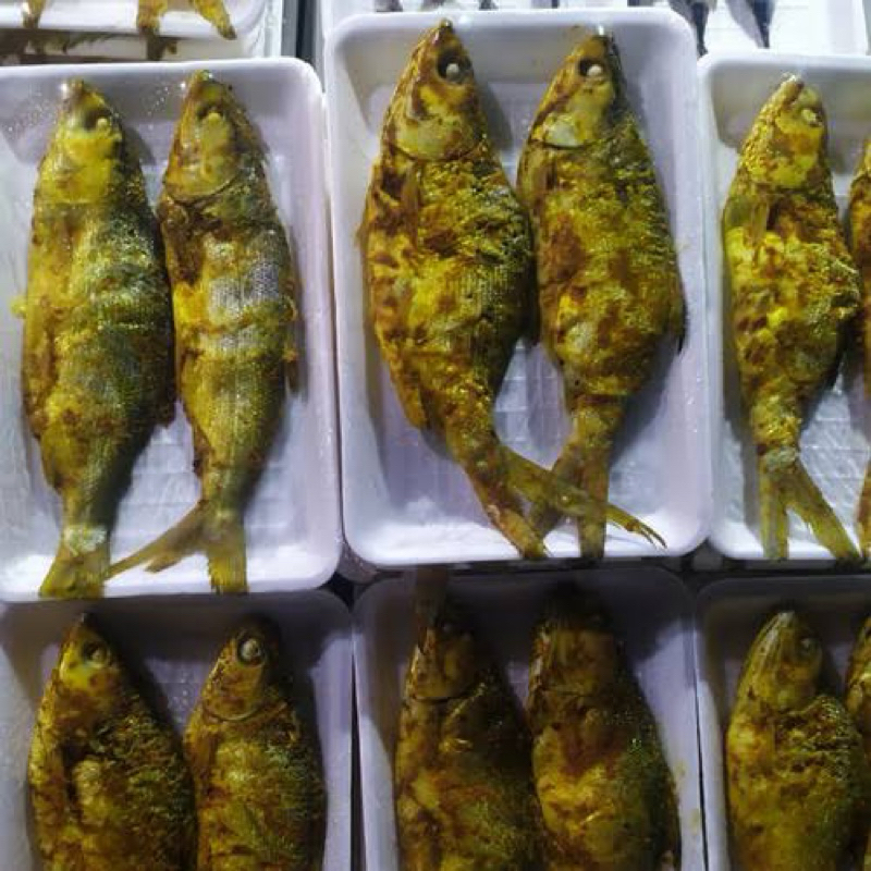 

Ikan pandeng bandeng presto