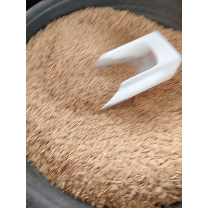 Benih padi/Bibit padi ciherang beruang super unggul kemasan 5 kg