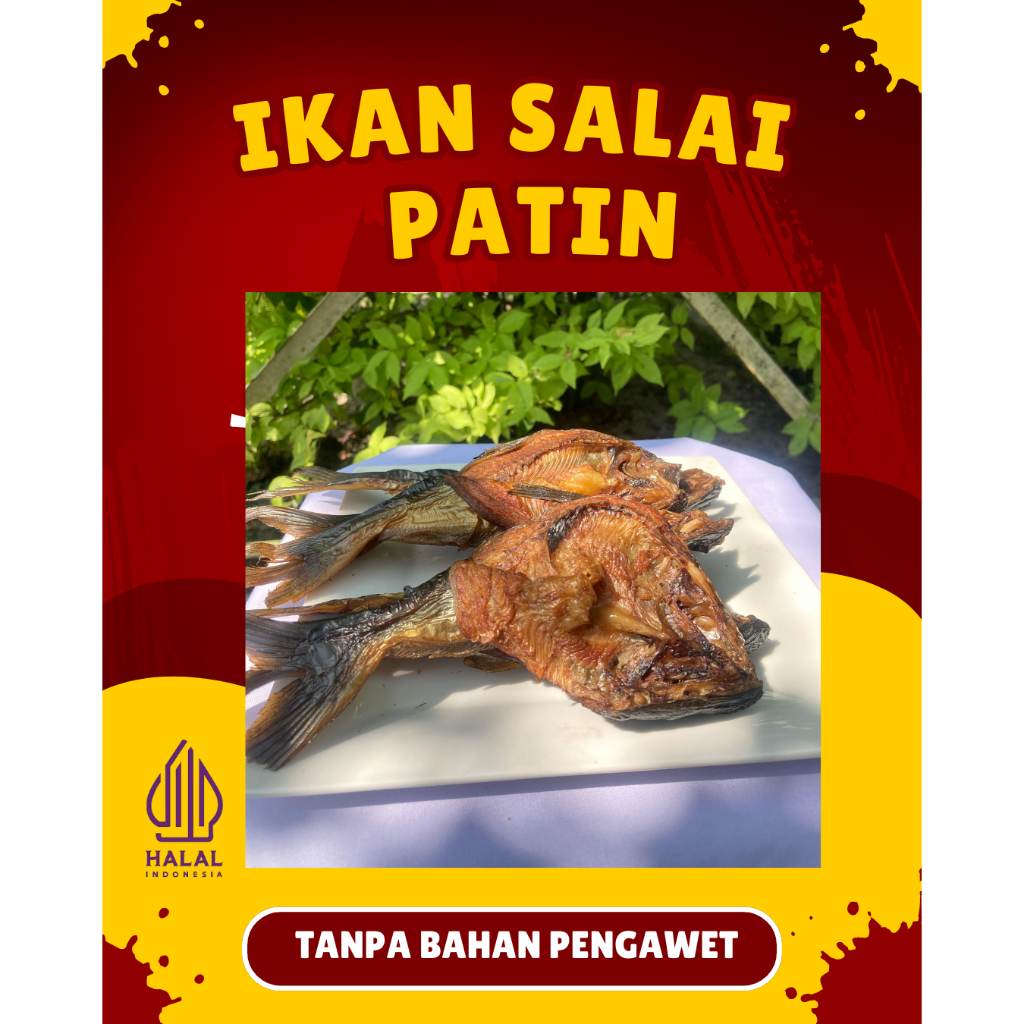 

Ikan salai patin sedap 100 gram termurah