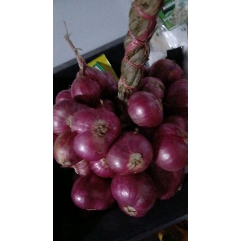 

bawang merah ikat asli probolinggo