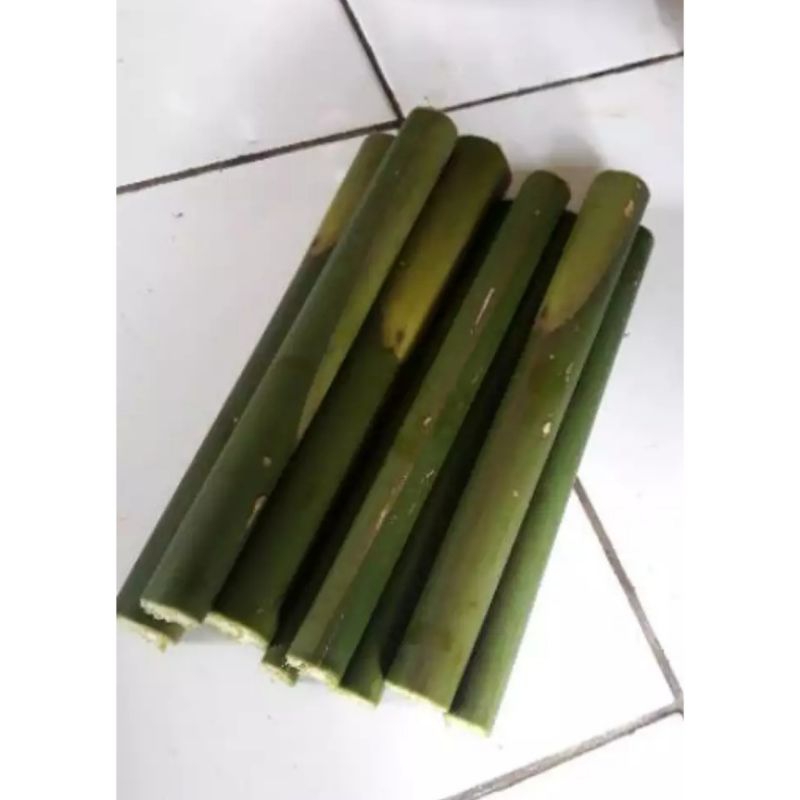 

Batang honje batang kecombrang segar 1kg