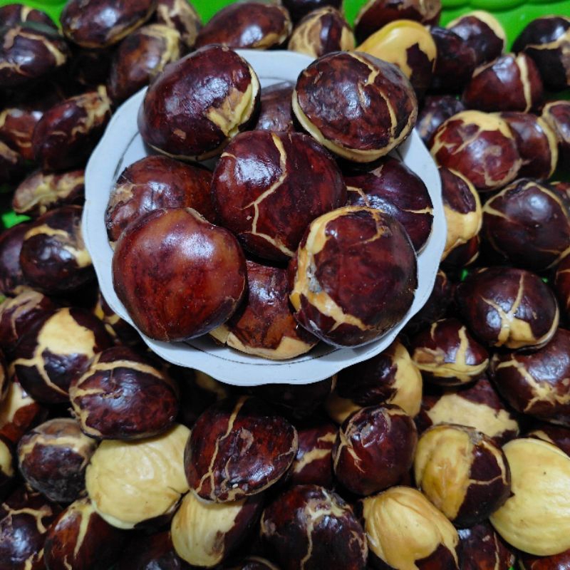 

Jengkol Tua 1Kg